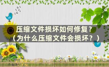 压缩文件损坏如何修复？ （为什么压缩文件会损坏？）